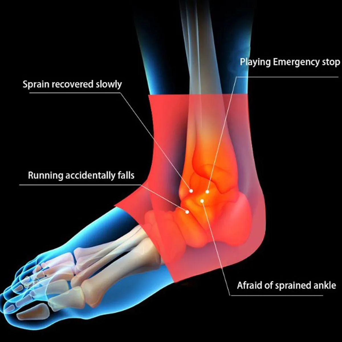 Super Conductive Ankle Supporter 1 Pair (Black) Medium - Large