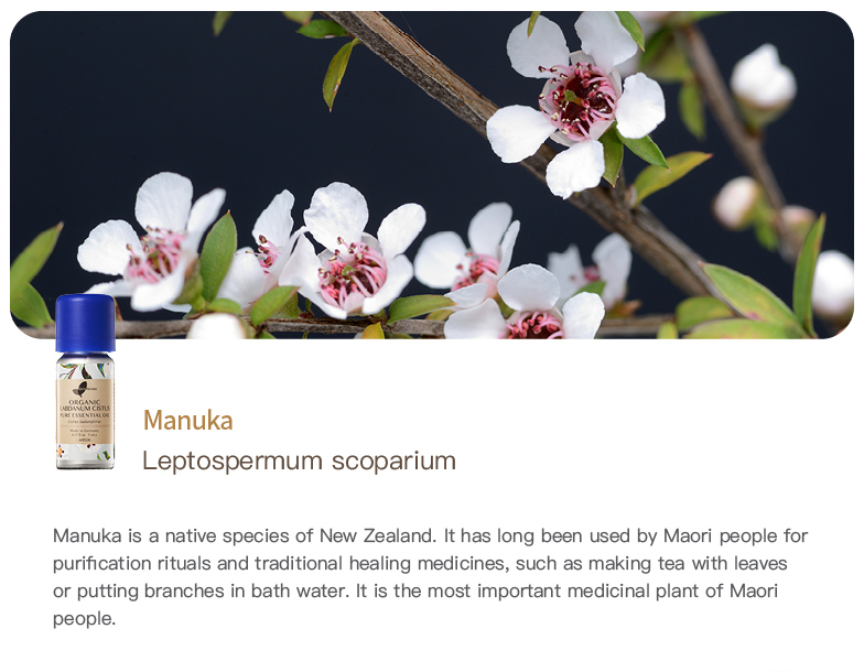 Manuka Pure Essential Oil_5ml