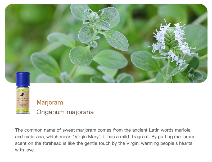 Marjoram Pure Essential Oil_10ml