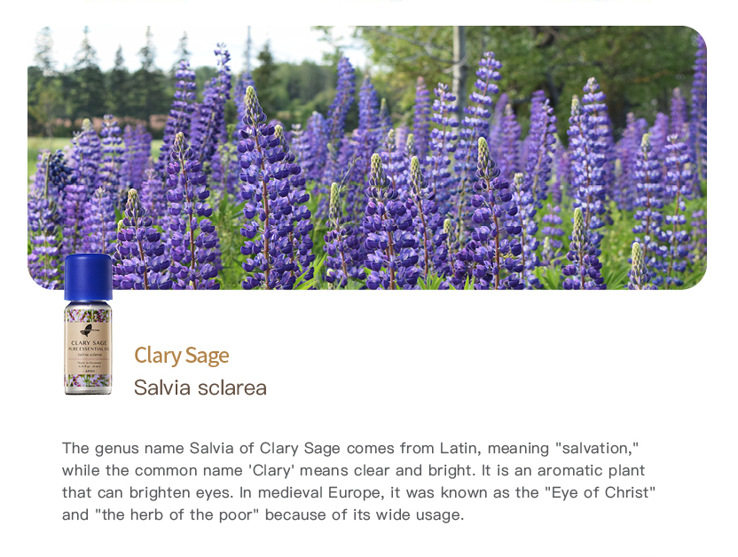 Clary Sage Pure Essential Oil_10ml