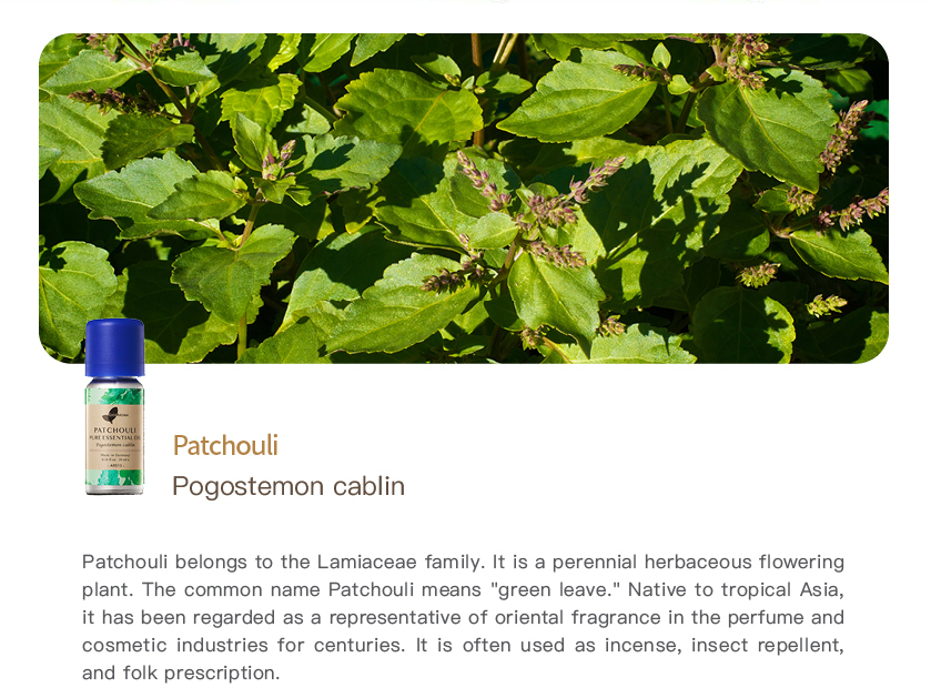 Patchouli Pure Essential Oil_10ml