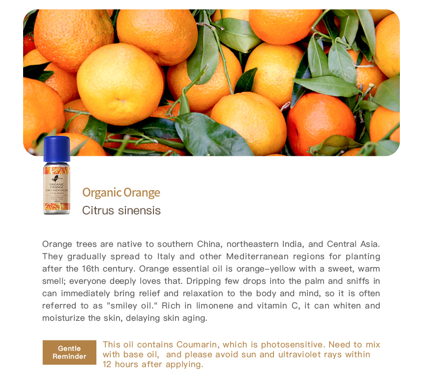 Organic Orange Pure Essential Oil_10ml