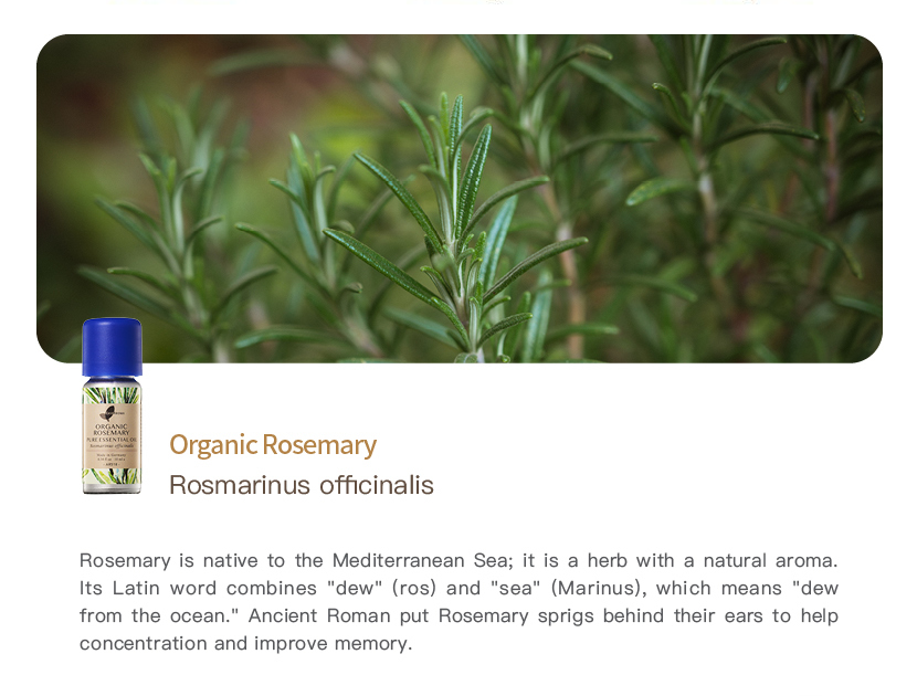 Organic Rosemary Pure Essential Oil_10ml