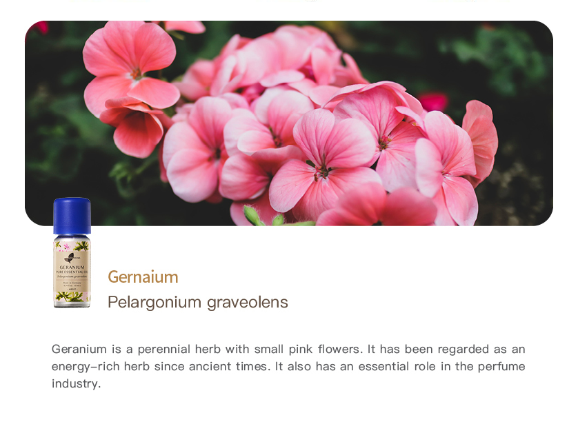 Geranium Pure Essential Oil_10ml