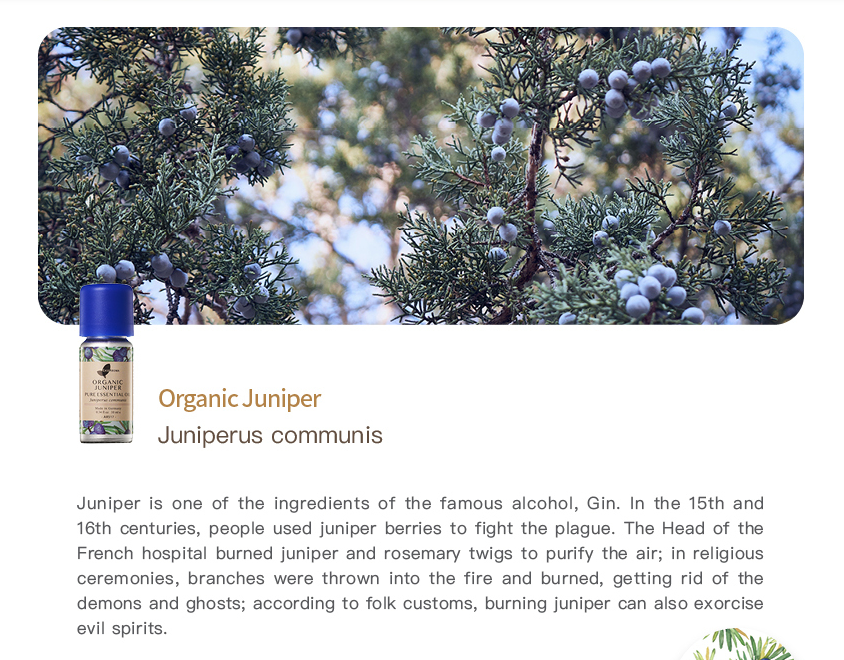 Organic Juniper Pure Essential Oil_10ml