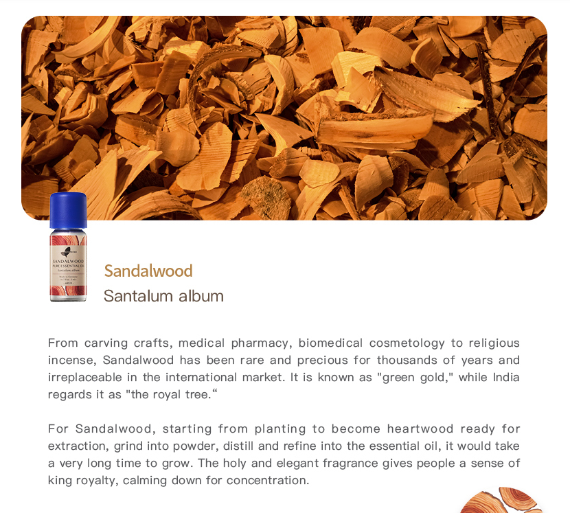 Sandalwood Pure Essential Oil_5ml