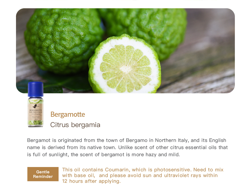 Bergamotte Pure Essential Oil