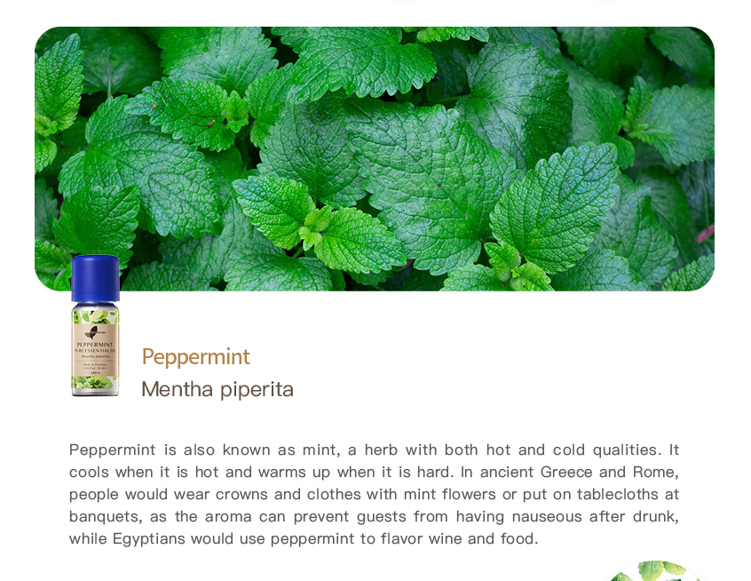 Peppermint Pure Essential Oil_10ml